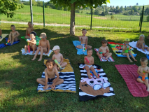 17d2adcc-81f7-455a-9517-63c558272305