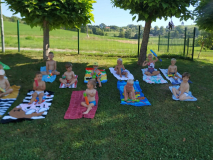 221b09c8-00d5-43fe-a0d3-a0d7d093439d