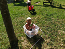 8103fa51-4a03-46b1-af02-7344dfc0bb27