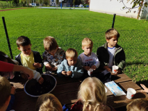 1c58f910-481f-4fc1-a659-54ee87ba71ae