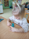 IMG_20250311_093145