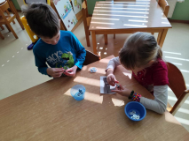 b2a7c252-818f-47ce-9f68-e9e24ea72a88