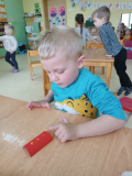 IMG_20250311_094133