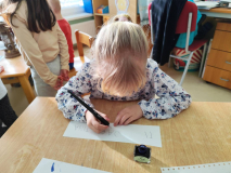 d6b4a9d7-35a8-48bd-bbc6-7a428a7e67a2