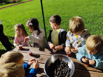 b6fc01e1-00e4-4188-bbfa-6549f4dad0c1