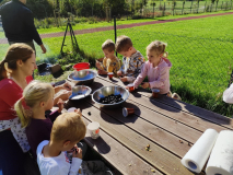 c441aa45-9dbe-45dd-90b4-86fd50555461