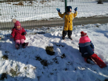 043cde41-dc9d-4e93-8dc7-181b40b7b577