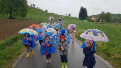 2c2488e3-bb9b-4ab5-9698-3fef3c546d72