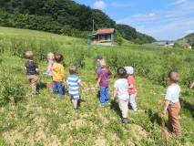 c1bac097-204e-48a5-acb7-786f5f9cd4a9