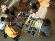 0f318963-0682-481f-81d2-3337d0c91cb6