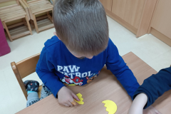 IMG_20250415_094827