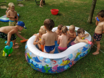 8965041a-4f84-4886-aefa-ba0de5432699