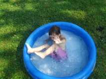 c3425f15-a8e7-479a-8875-5f789e1a4253